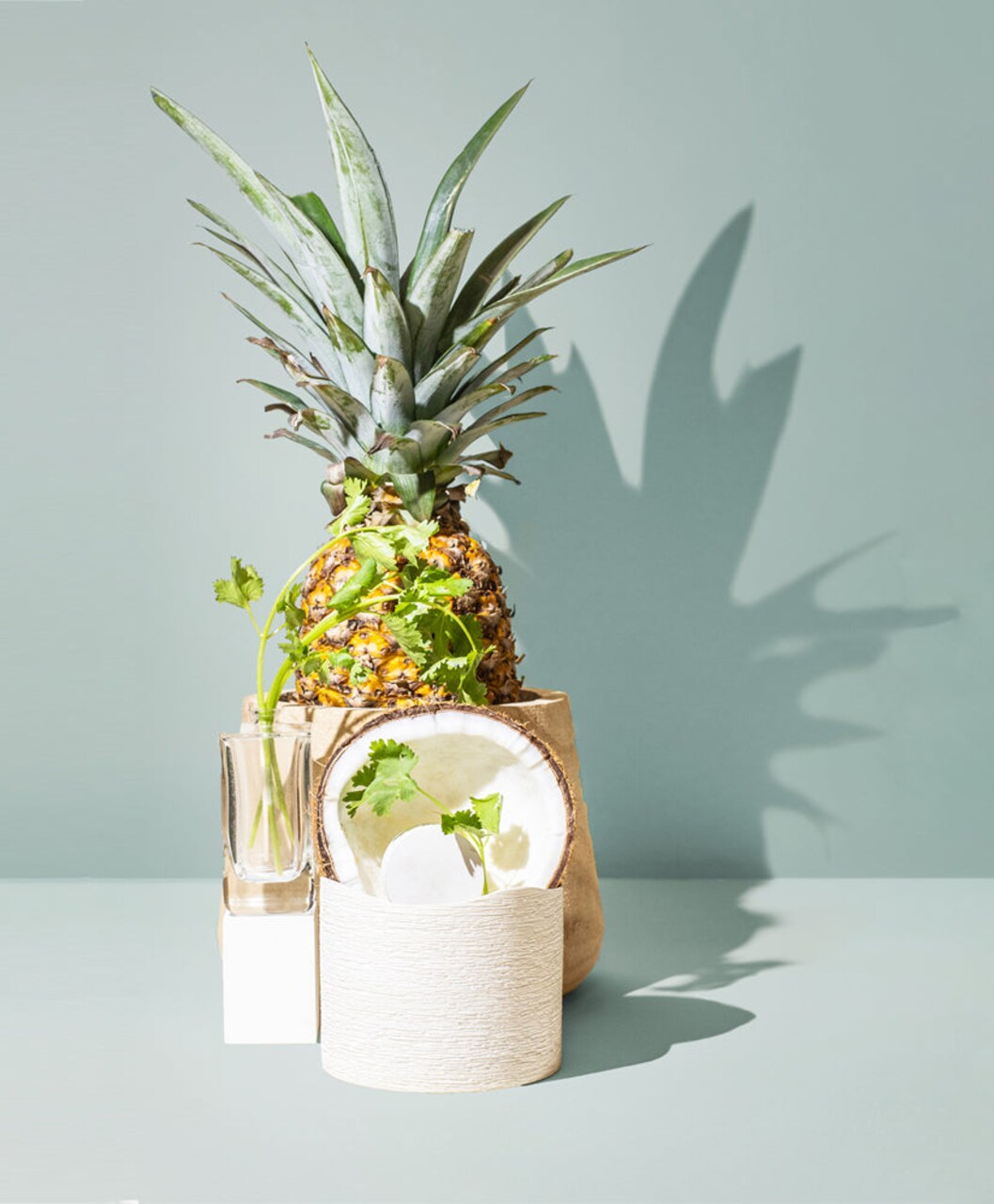 Cilantro & Dark Coconut | Fragrance Oil for Candles, Soap